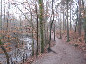 Kattendorf 045